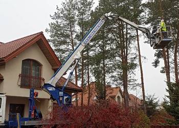 Wycinka drzew usuwanie gałęzi pielęgnacja drzew
