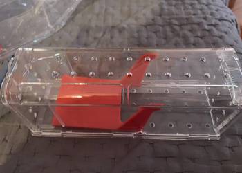 żywołapka na myszy