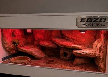 Terrarium dla żółwia greckiego gekona lamparciego agamy brodatej
