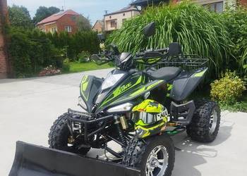 Bashan x-one 250
