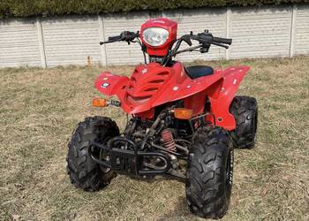 Quad bashan 200cm 4+1R na wale kardana duża rama