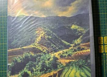 Vietnam Rough Guides j. angielski