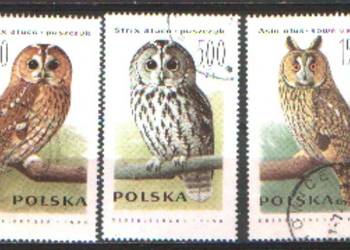 Zn. Fi 5157, 8, 50 kas 1990