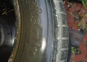 Koła Zimowe Polo Fox Koła Zimowe Polo Fox