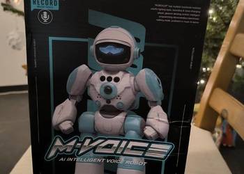 Inteligentny robot M Voice Ai