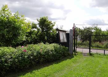 ROD  448m2  Piła  Różyckiego . Okazja