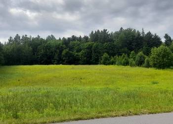 Sprzedam działka 50 ary Ignatówka gmina Biłgoraj