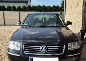 Volkswagen Passat B5 FL [Uszkodzony]