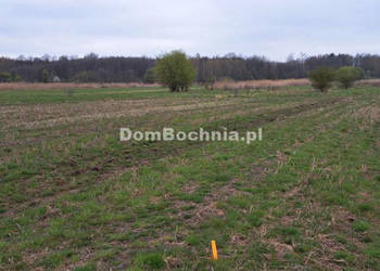 Działka Jodłówka 8587m2