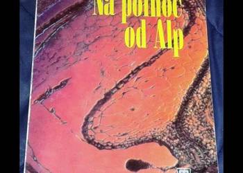 Na północ od Alp - Zdzisław Umiński