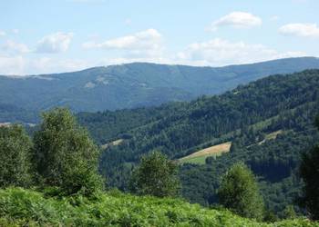 Brenna 2,53 ha z prawem zabudowy inwestycyjna blisko wyciągu orzcykowego