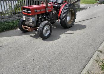 MF Ciągnik rolniczy SADOWNICZY Massey Ferguson 135