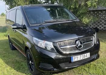 Mercedes Viano