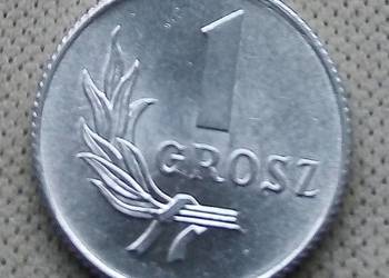 POLSKA-1 GROSZ -1949 r -bzm-AL-ŁADNA