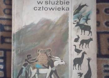 Sprzedam zwierzęta w służbie człowieka B. Orłowski