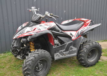 Quad TGB 500 Target 13rok/550 T3b ,Cf Moto Polaris,  Access Yamaha Kymco