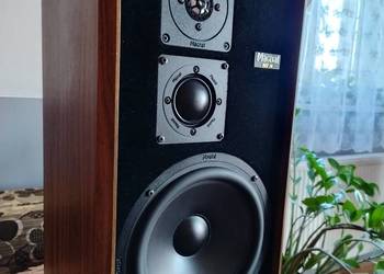 Kolumny MAGNAT MSP 70