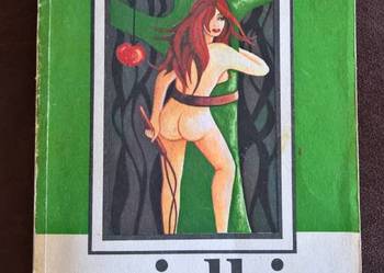 Wielki Las Zbigniew Nienacki