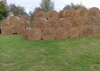 Sprzedam słomę w belach 120x120