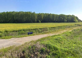 Sprzedaż działki Rzepniki 3000m2