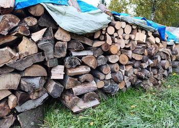 Drzewo bukowe suche odpad