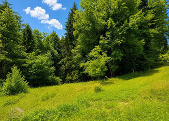 Działka Milówka 1161m2