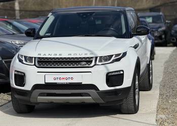 Piękny Land Rover Evoque