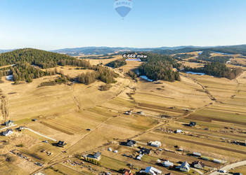 Szukasz lokaty kapitału w sąsiedztwie lasu?