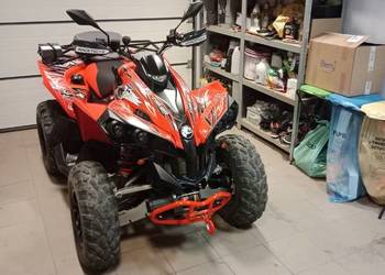 Can AM Renegade