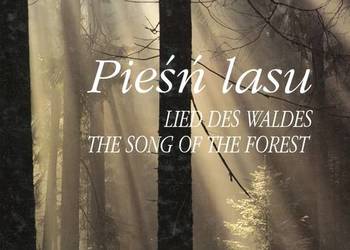 Pieśń lasu - Łapiński