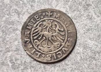 116) Zestaw monet 5 szt. Półgrosze - Jagiellonowie