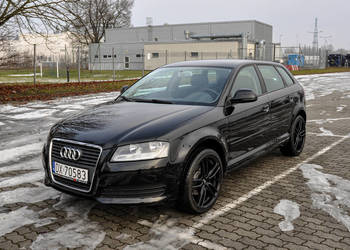 Audi A3 1,6 2009 r. Lift Bezwypadkowy