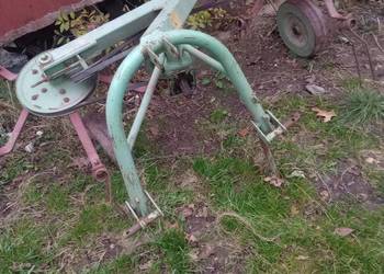 Witam sprzedam pająka