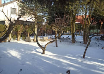 Sprzedam dom działka 1000 m2