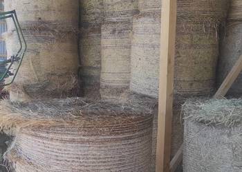 Sprzedam siano 40 bel