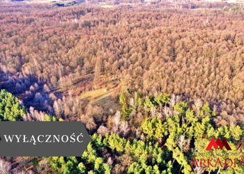 Oferta sprzedaży działki Wistka Królewska 3100m