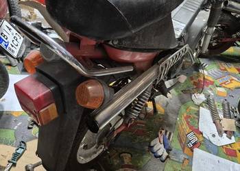 Motorynka stella zarejestrowana