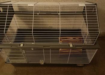 Klatka dla świnki morskiej,królika