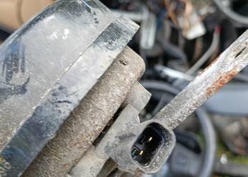 Rover 25 sygnał dźwiękowy