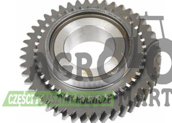 5095364, 5118917 KOŁO ZĘBATE Z45/Z42 CNH