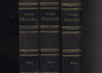 Thierleben Die Vogel T.1-3