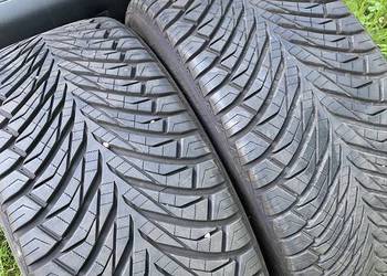 Austone FixClime 255/50 R19 107V XL