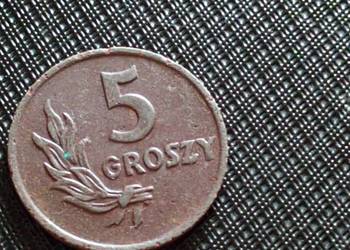 Sprzedam braz 5 gr 1949 r bzm
