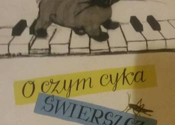 O czym cyka świerszcz z kącika bajki dziecięce prezenty okaz