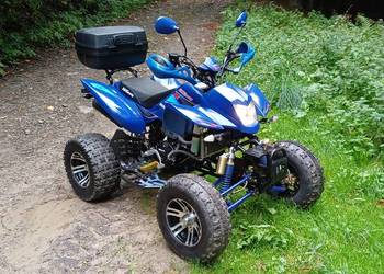 Bashan 250