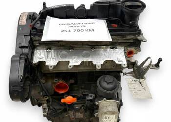 SILNIK CAY VW Golf VI Polo V Touran II 1T Passat B6 B7 1.6 TDI diesel CAYC