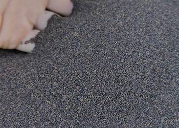 Nasiona dziurawca dziurawiec zwyczajny zazielenienie Nasiona dziurawca dziurawiec zwyczajny zazielenienie