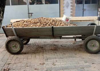 Wóz, przyczepa. Wóz konny.