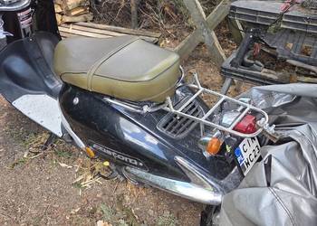 Skuter retro killebree custom