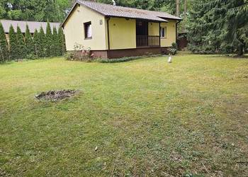 Działka z domkiem letniskowym 3 minuty od rzeki Bug – 700 m² Brańszczyk